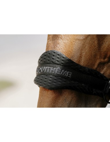 EQUITH?ME - 3D Mesh - Nylonhalfter