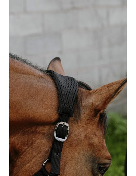 EQUITH?ME - 3D Mesh - Nylonhalfter