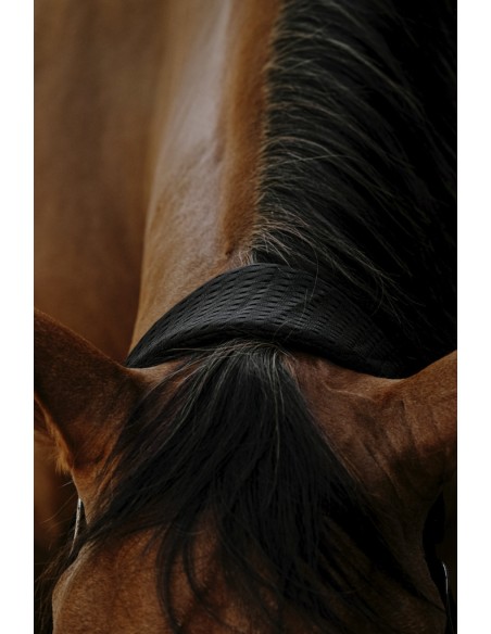 EQUITH?ME - 3D Mesh - Nylonhalfter