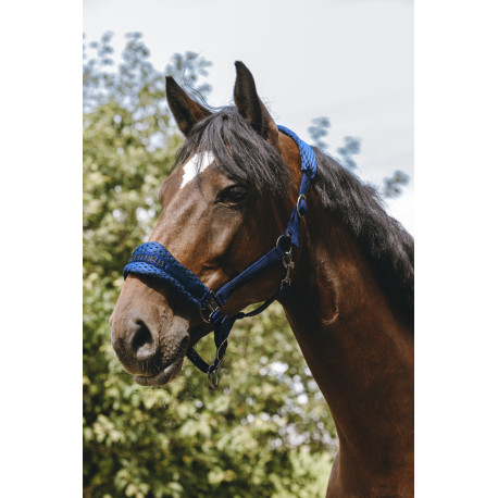 EQUITH?ME - 3D Mesh - Nylonhalfter