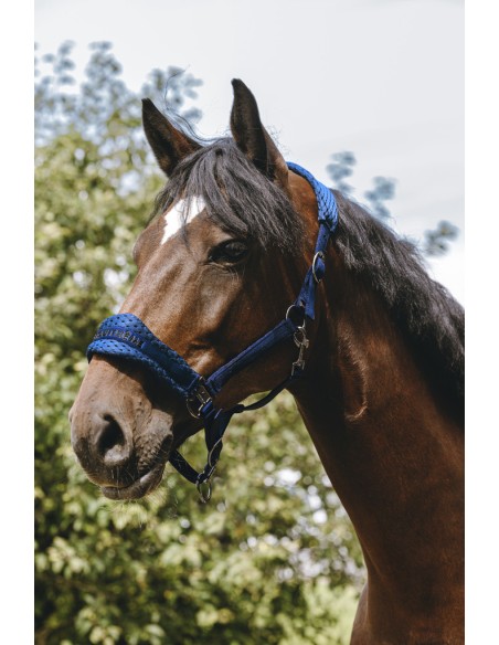 EQUITH?ME - 3D Mesh - Nylonhalfter