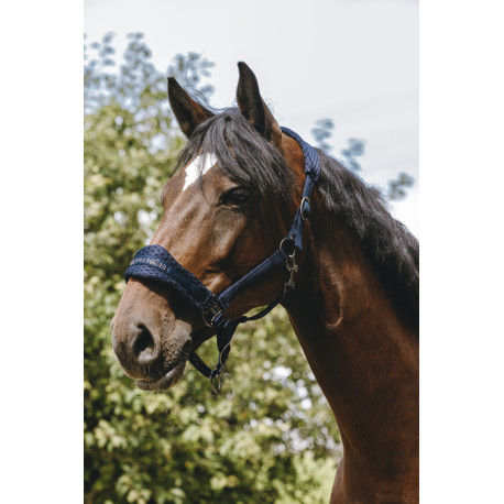 EQUITH?ME - 3D Mesh - Nylonhalfter