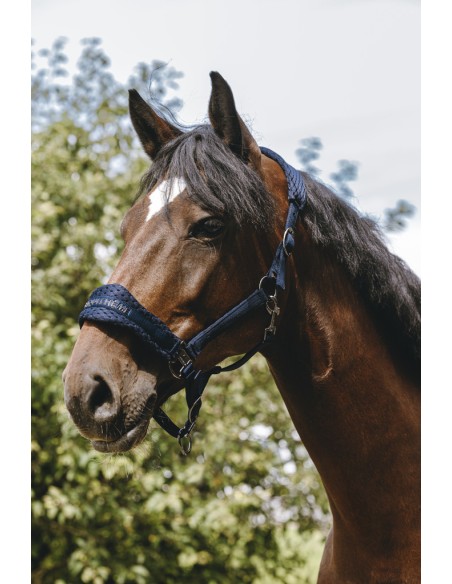 EQUITH?ME - 3D Mesh - Nylonhalfter