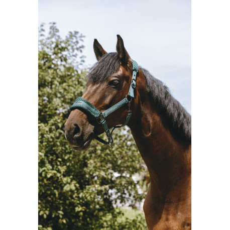 EQUITH?ME - 3D Mesh - Nylonhalfter