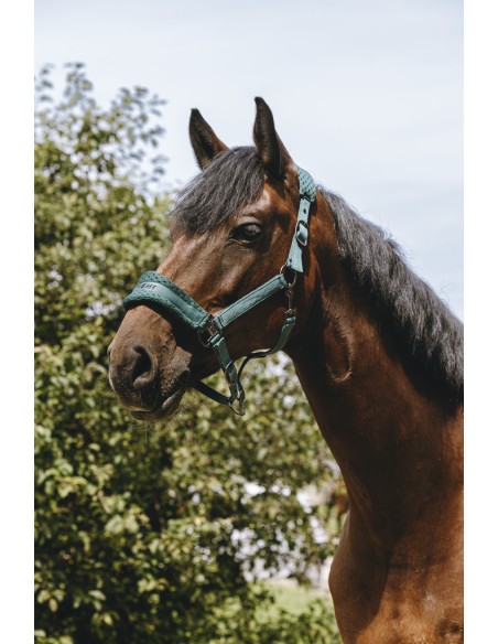 EQUITH?ME - 3D Mesh - Nylonhalfter