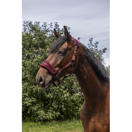 EQUITH?ME - 3D Mesh - Nylonhalfter