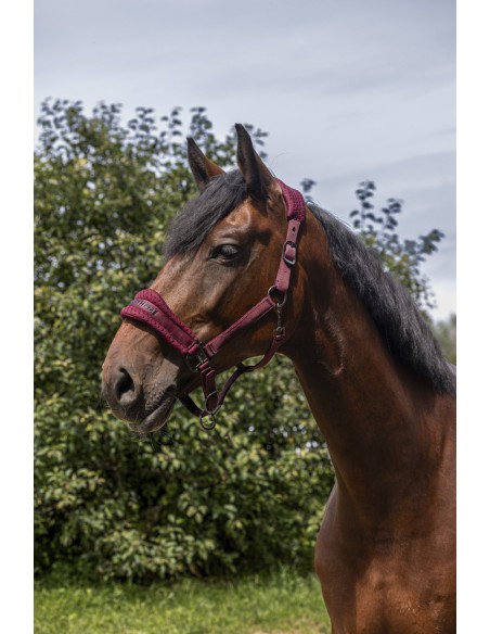 EQUITH?ME - 3D Mesh - Nylonhalfter