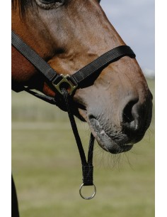 NORTON - Educatif - Nylonhalfter 2