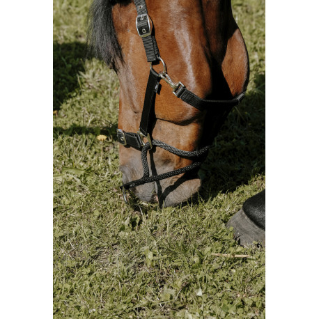 NORTON - Educatif - Nylonhalfter