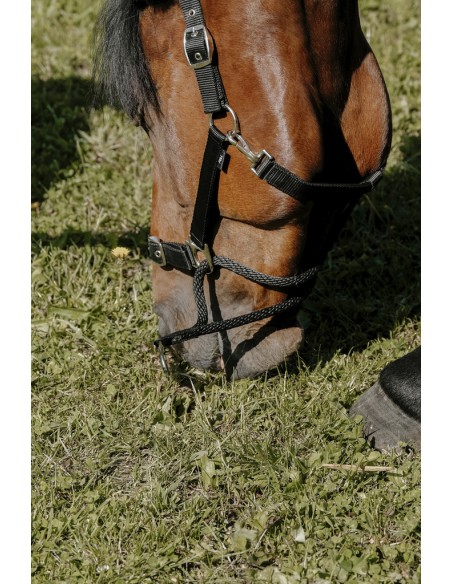 NORTON - Educatif - Nylonhalfter