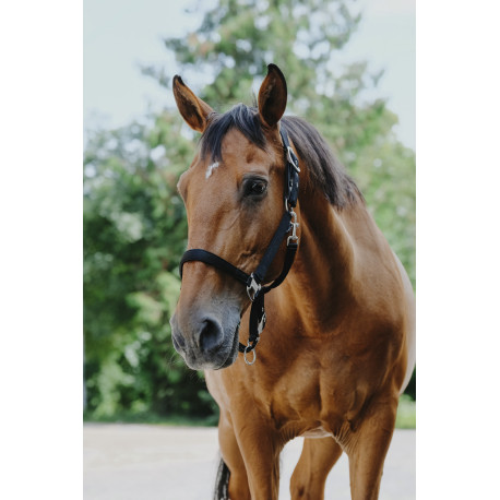 EQUITH?ME - Protector - Nylonhalfter