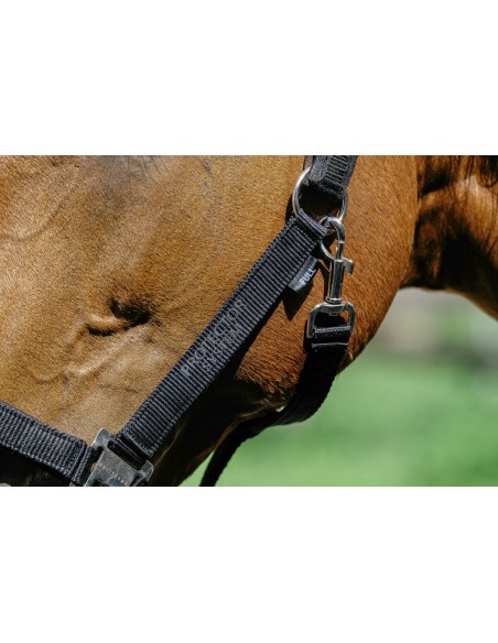 EQUITH?ME - Protector - Nylonhalfter