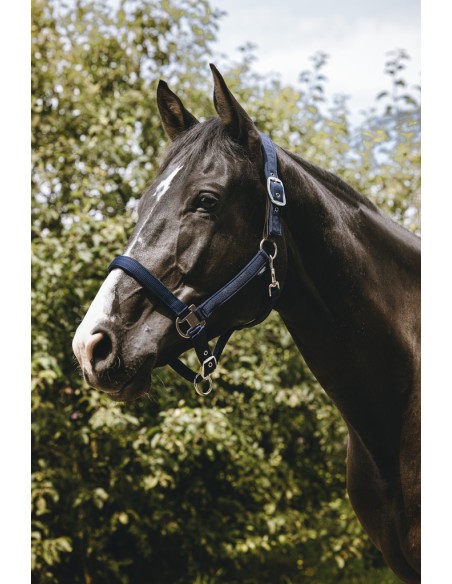 EQUITH?ME - Protector - Nylonhalfter