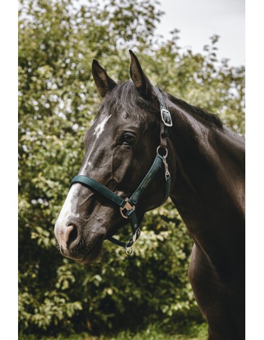 EQUITH?ME - Protector - Nylonhalfter