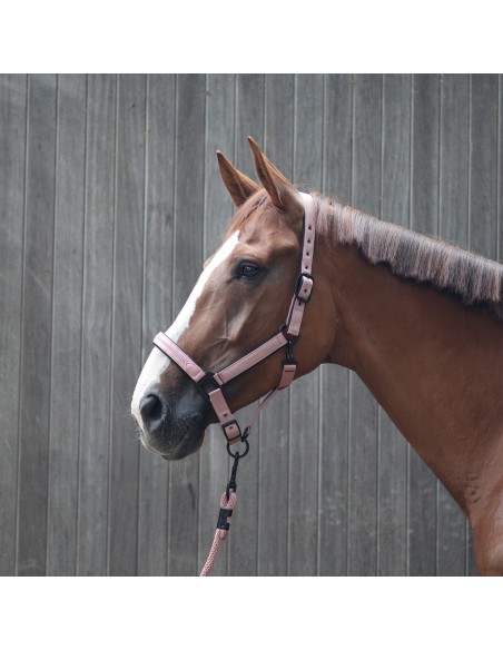 LAMI-CELL - Charming - Halfter