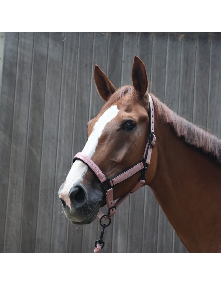 LAMI-CELL - Charming - Halfter