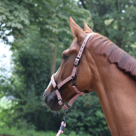 LAMI-CELL - Charming - Halfter