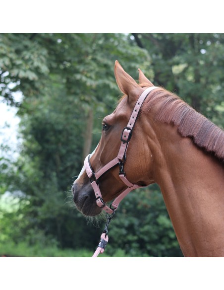 LAMI-CELL - Charming - Halfter