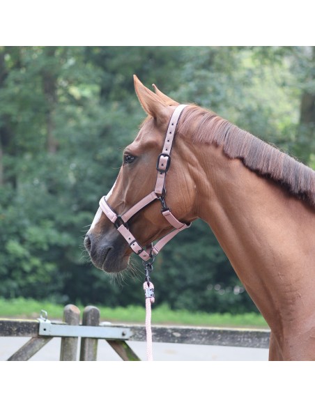 LAMI-CELL - Charming - Halfter