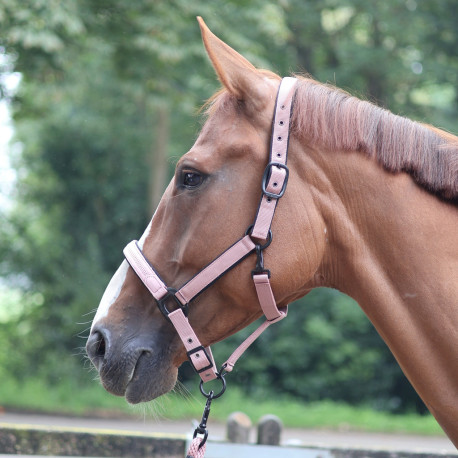 LAMI-CELL - Charming - Halfter