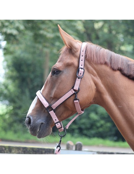 LAMI-CELL - Charming - Halfter