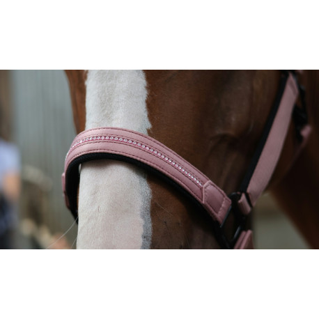 LAMI-CELL - Charming - Halfter