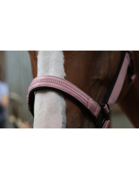 LAMI-CELL - Charming - Halfter