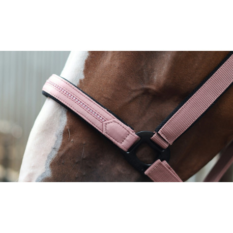 LAMI-CELL - Charming - Halfter