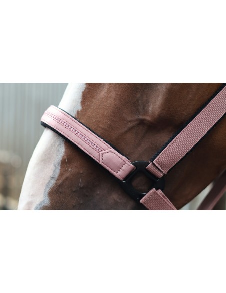 LAMI-CELL - Charming - Halfter