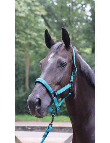 LAMI-CELL - Charming - Halfter