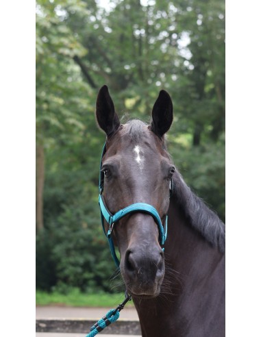 LAMI-CELL - Charming - Halfter