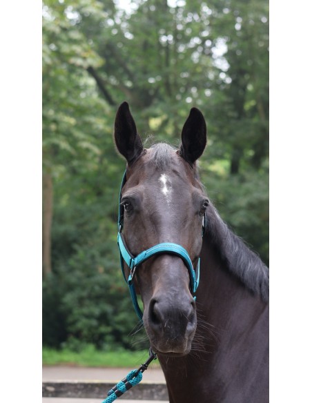 LAMI-CELL - Charming - Halfter