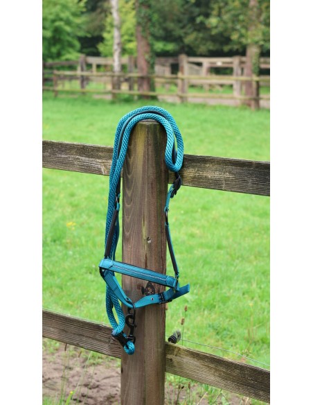 LAMI-CELL - Charming - Halfter