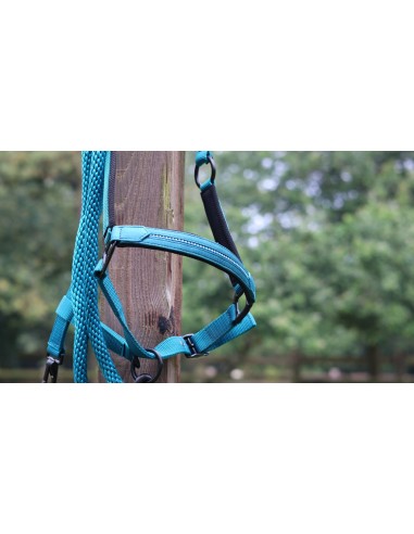 LAMI-CELL - Charming - Halfter