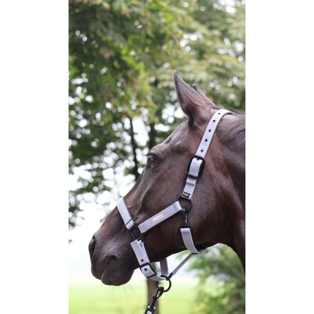 LAMI-CELL - Midnight - Halfter