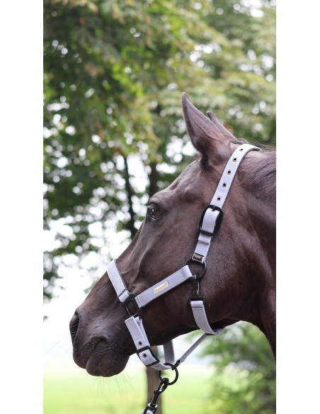 LAMI-CELL - Midnight - Halfter