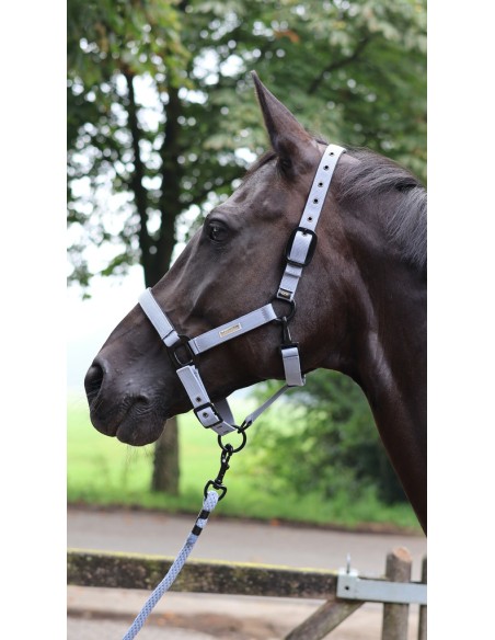 LAMI-CELL - Midnight - F?hrstrick