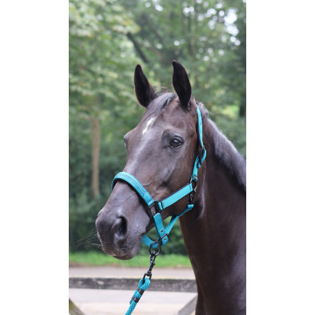 LAMI-CELL - Charming - F?hrstrick