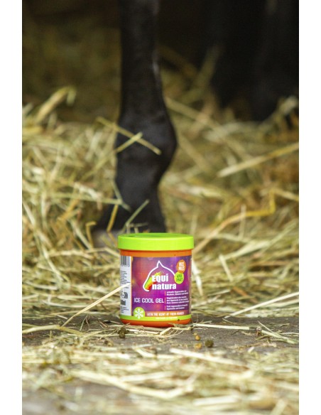 EQUINATURA K?hlungsgel