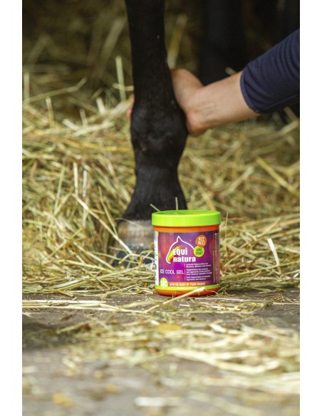 EQUINATURA K?hlungsgel