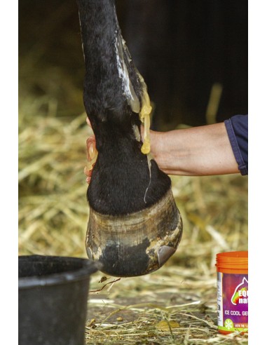 EQUINATURA K?hlungsgel