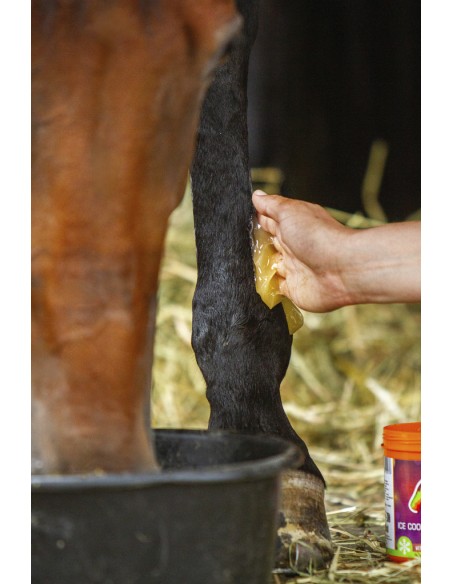 EQUINATURA K?hlungsgel