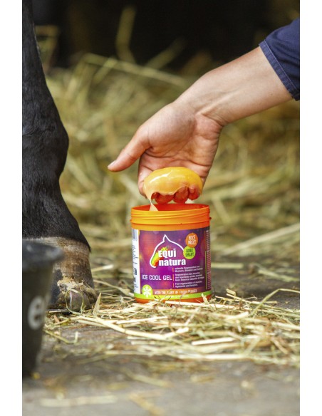 EQUINATURA K?hlungsgel