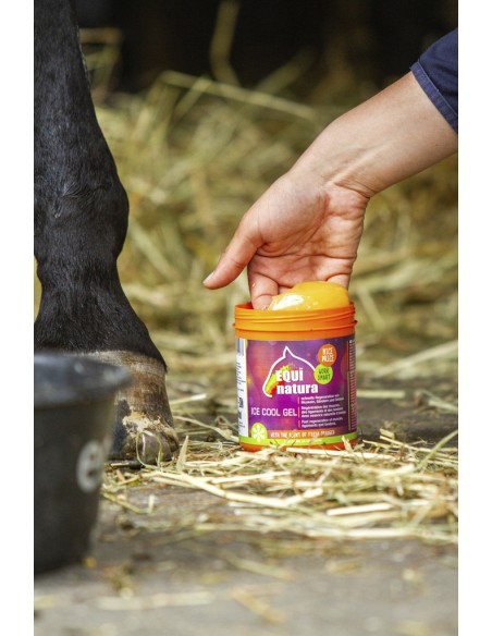 EQUINATURA K?hlungsgel