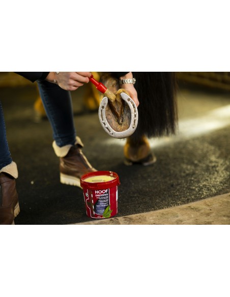 Graisse pour sabots KEVIN BACON'S Hoof Dressing - Hiver