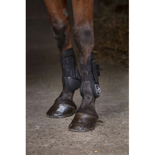 Gu?tres NORTON "XTR" 2