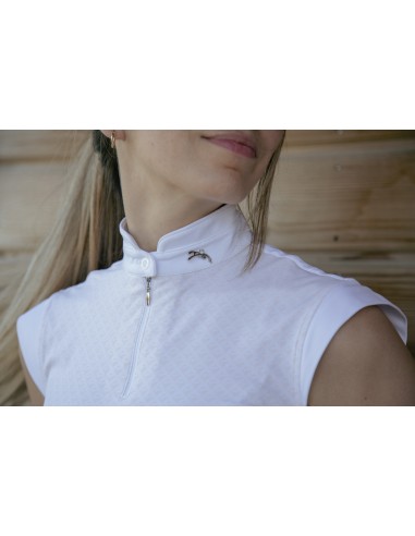 Polo de concours PENELOPE - Seville