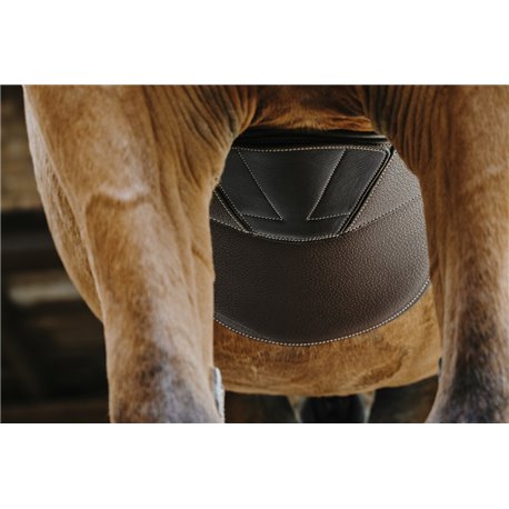 NORTON "Magnet" Sattelgurt mit Stollenschutz