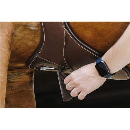 NORTON "Magnet" Sattelgurt mit Stollenschutz