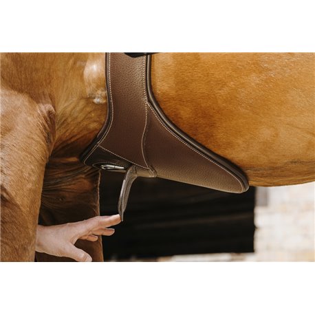 NORTON "Magnet" Sattelgurt mit Stollenschutz